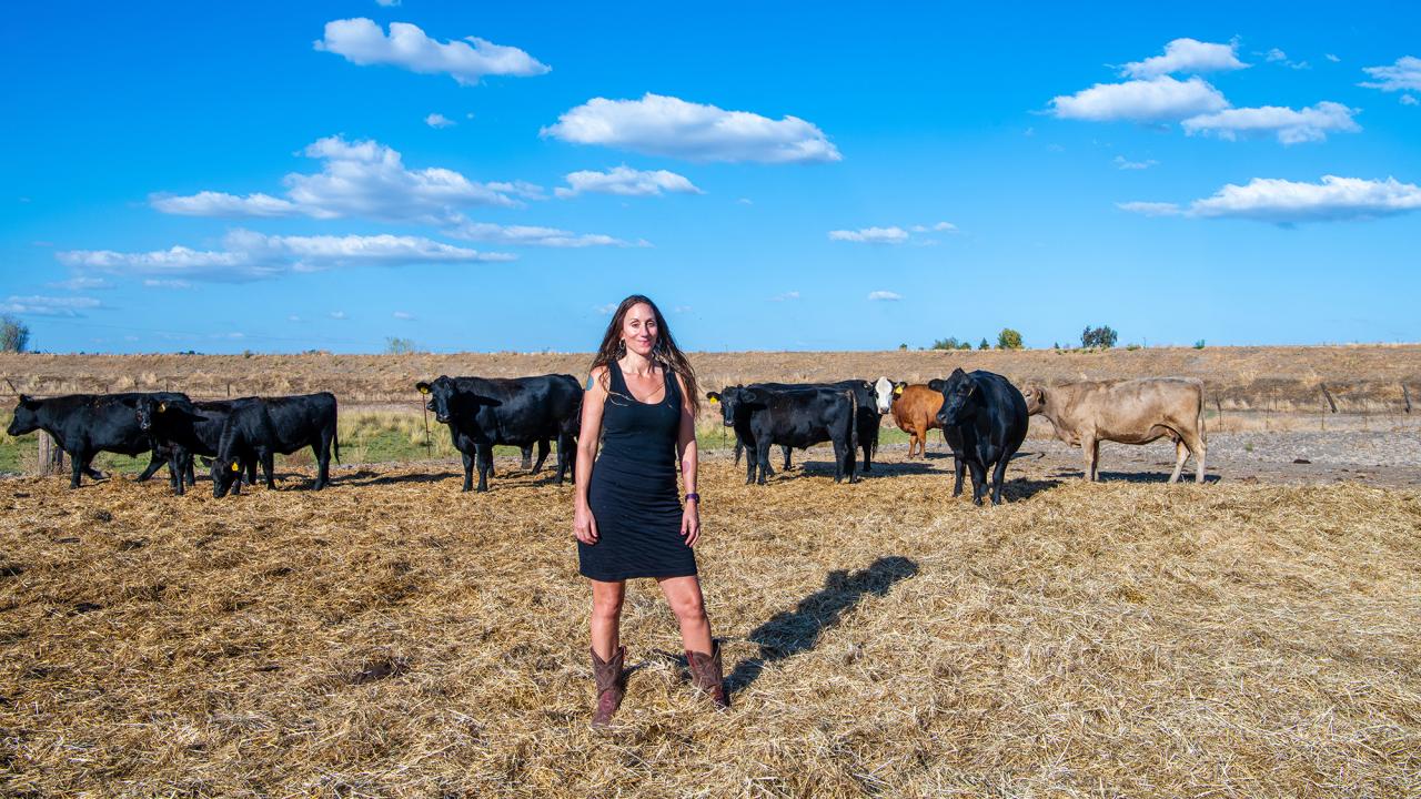 Woman stands in field with cows