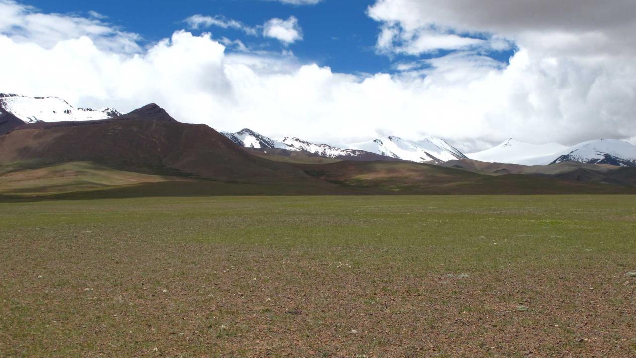 Landscape photo of plain with snowy mountains in background.