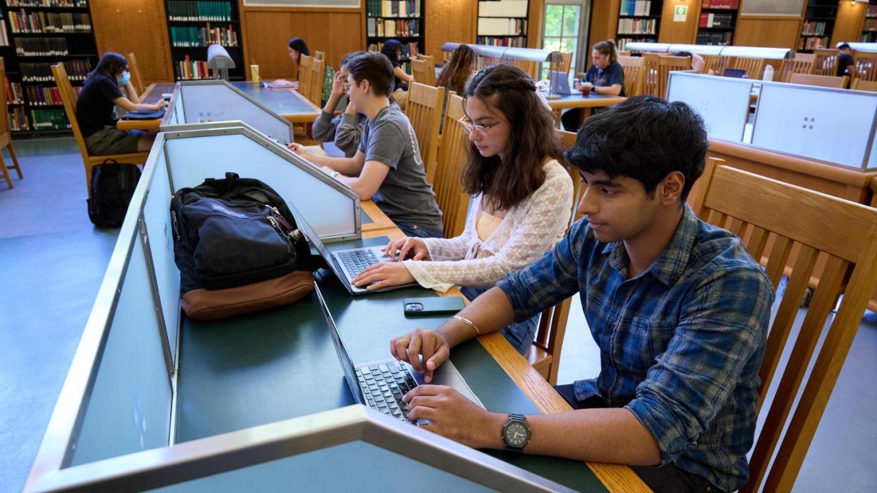 Two students one in a long sleeve white top and one in a blue and yellow plaid shirt, study on their computers in Shields Library Main Reading Room.