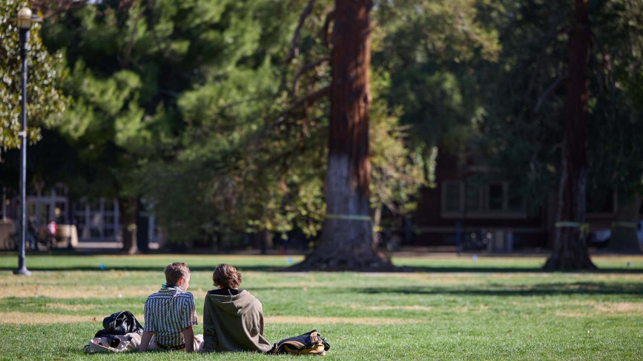 Two students one in a green hoodie and the other in a blue striped button up, sit and face a large tree in the Quad. 