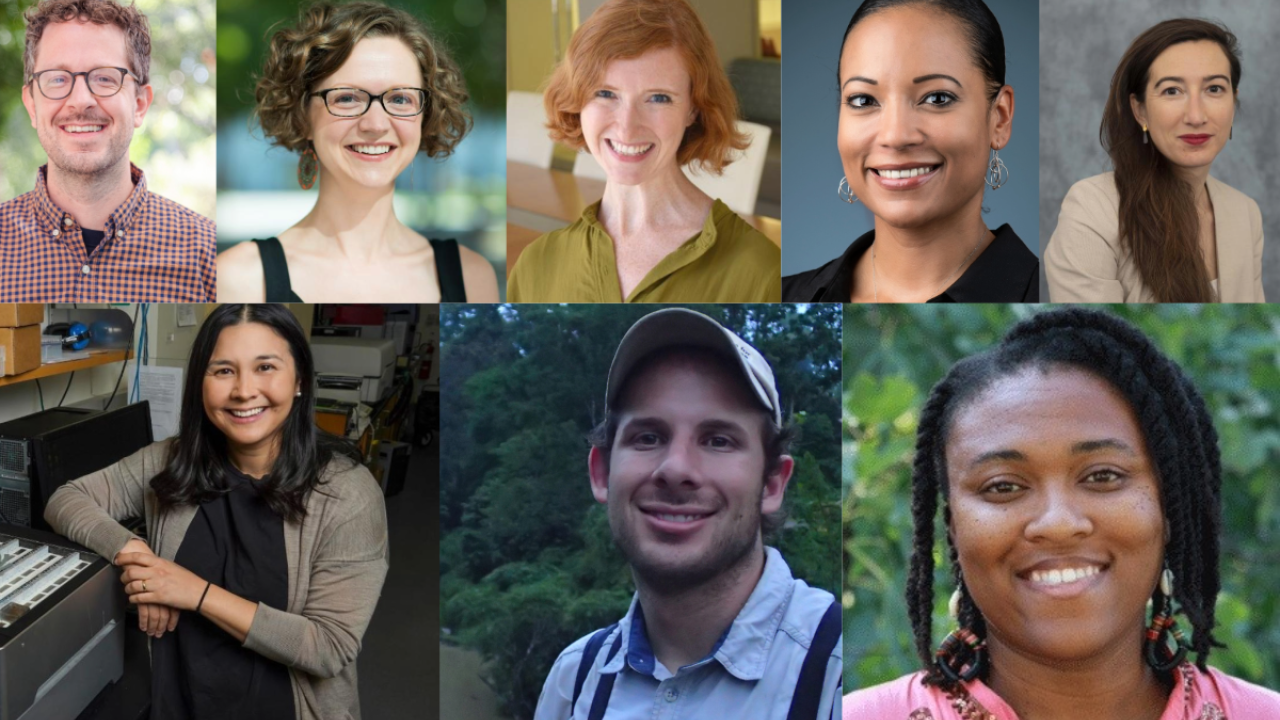 a grid of photos featuring the eight Chancellor Fellow's of 2024-2025