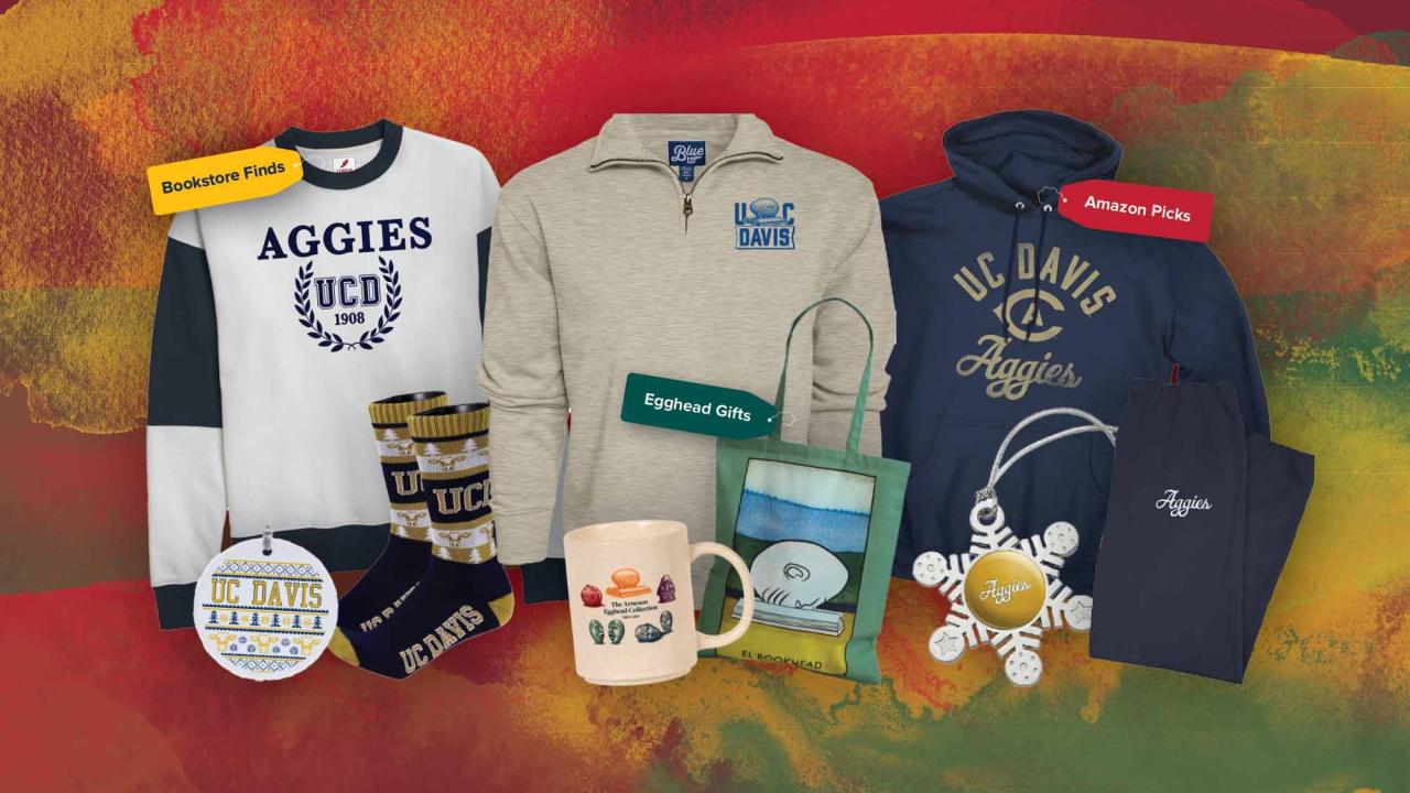 A collection of UC Davis merchandise displayed on a red, orange, and green textured background. The items include a white sweatshirt with navy trim featuring 'AGGIES UCD 1908' with a laurel wreath design, a beige quarter-zip pullover with UC Davis logo, and a navy blue hoodie with gold 'UC DAVIS Aggies' lettering. Accessories include UC Davis patterned socks, a holiday ornament with a Nordic-style pattern, a ceramic mug with geological illustrations, a green tote bag featuring an Egghead sculpture design, a