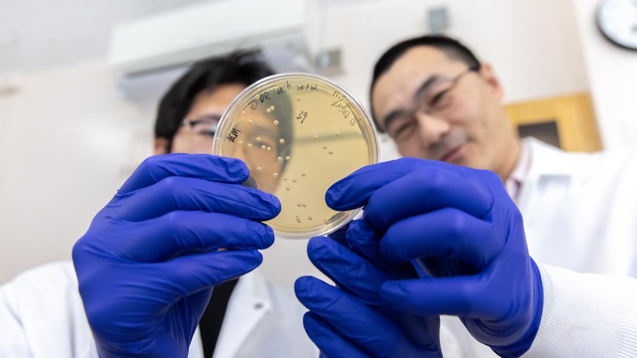 Two people wearing white lab coats and blue vinyl gloves hold a petri dish in front of the camera. Their faces are slightly out of focus. 