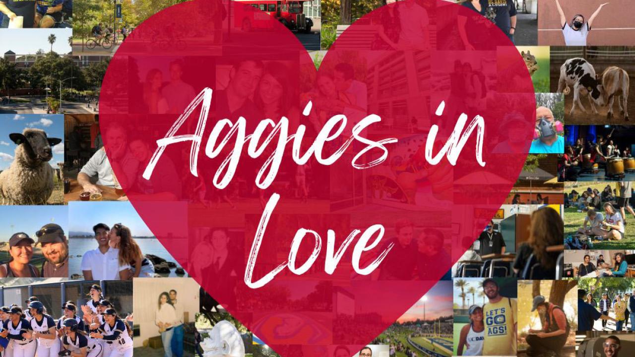 "Aggies in Love," in heart, against backdrop of photo collage