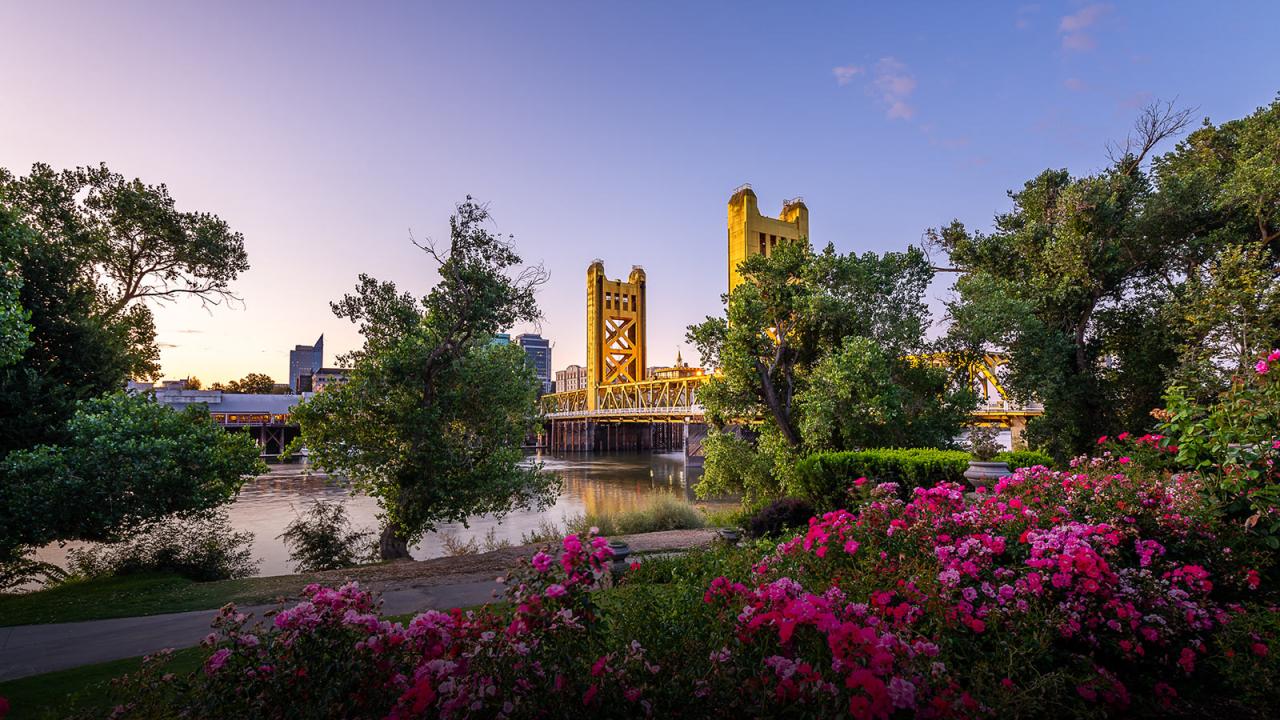 Sacramento Tower Bridge in Spring