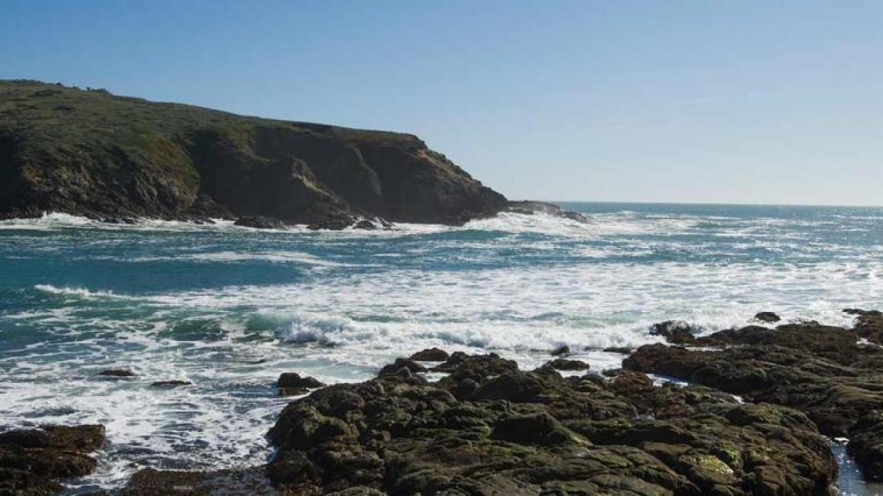 landscape view of Bodega Bay Marine lab