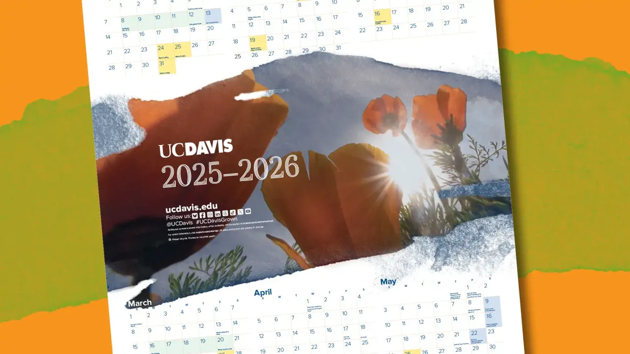 Image shows the 2025-26 UC Davis Poster Calendar, featuring an image of sunlight behind California poppies