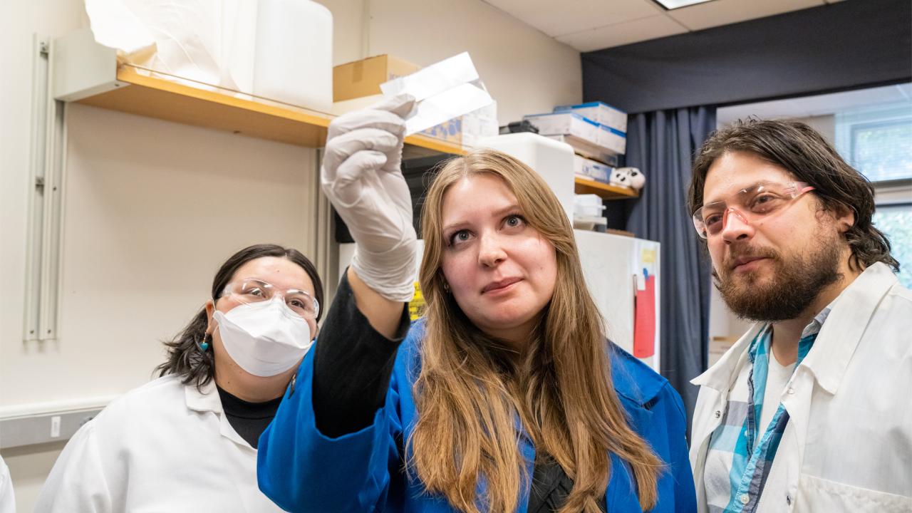 three students looking at a slide