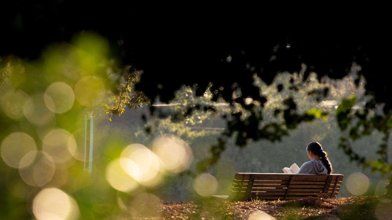 A person sitting on a bench and reading