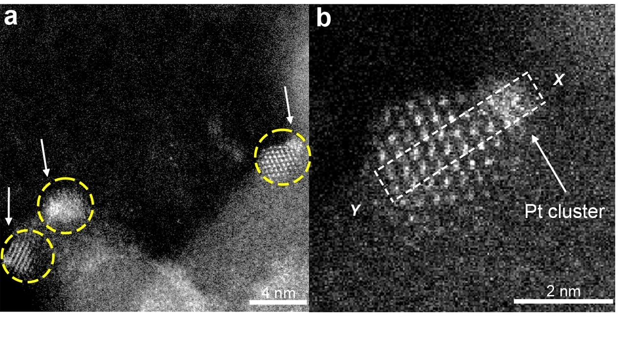 At left, panel shows a patch of regular white dots against a black background. Panel on right shows a zoomed in view of dots with a blurry blob at one corner. 