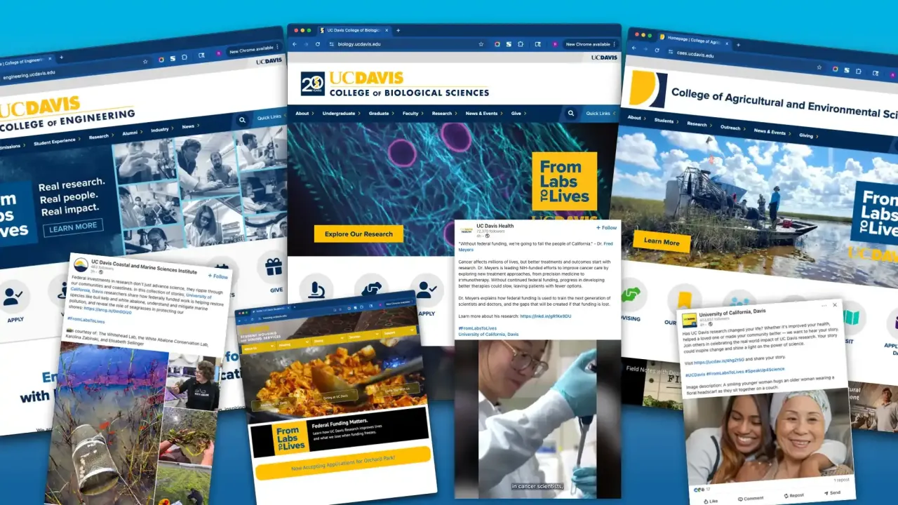 Collage of various web pages and social media posts from UC Davis, featuring research and community photos.