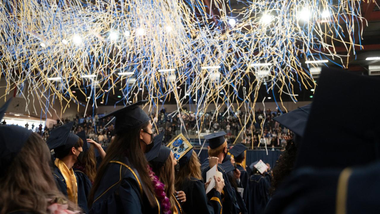 Confetti rains down.