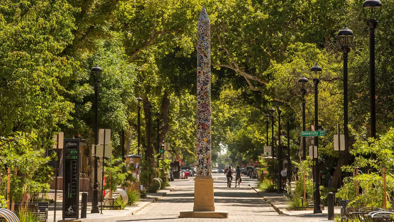 Photo of a tree lined street with an obelisk in the middle of it.