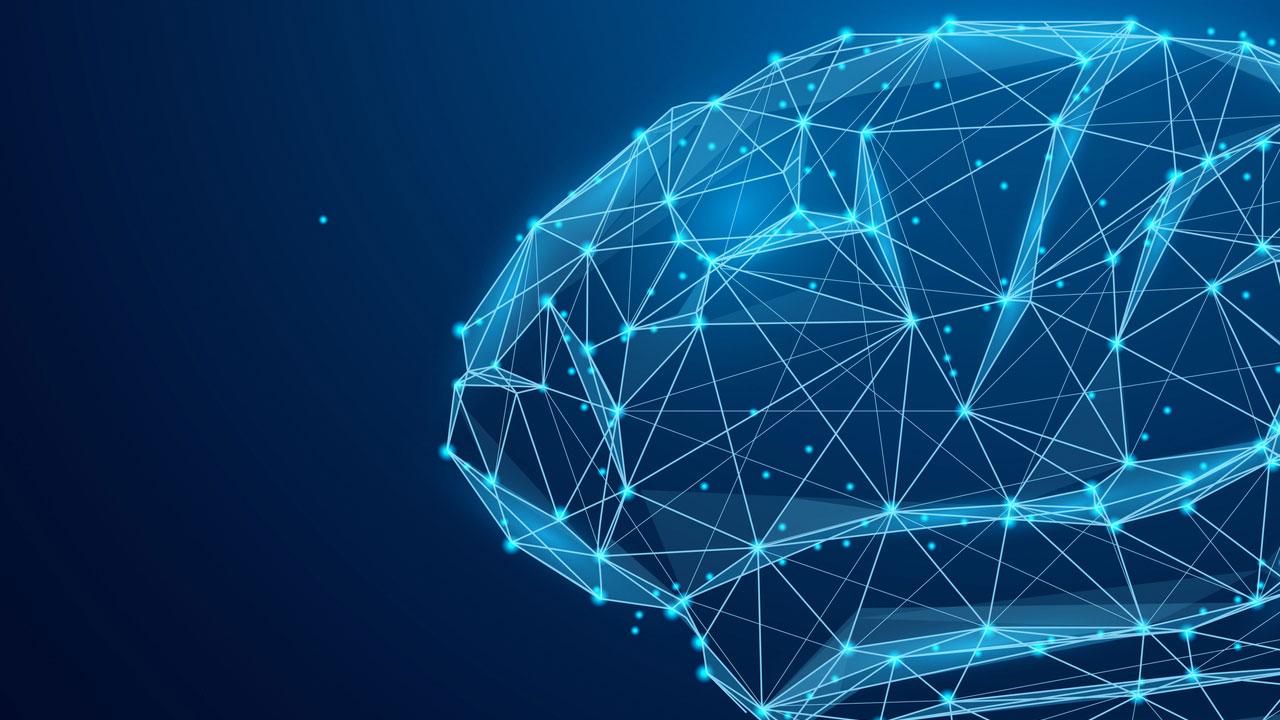 a computer illustration of a brain