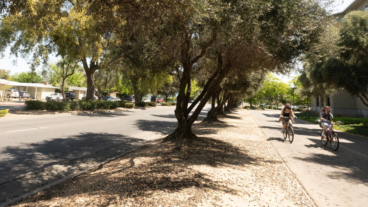Two bicyclists ride along path adjacent to Russell Boulevard.
