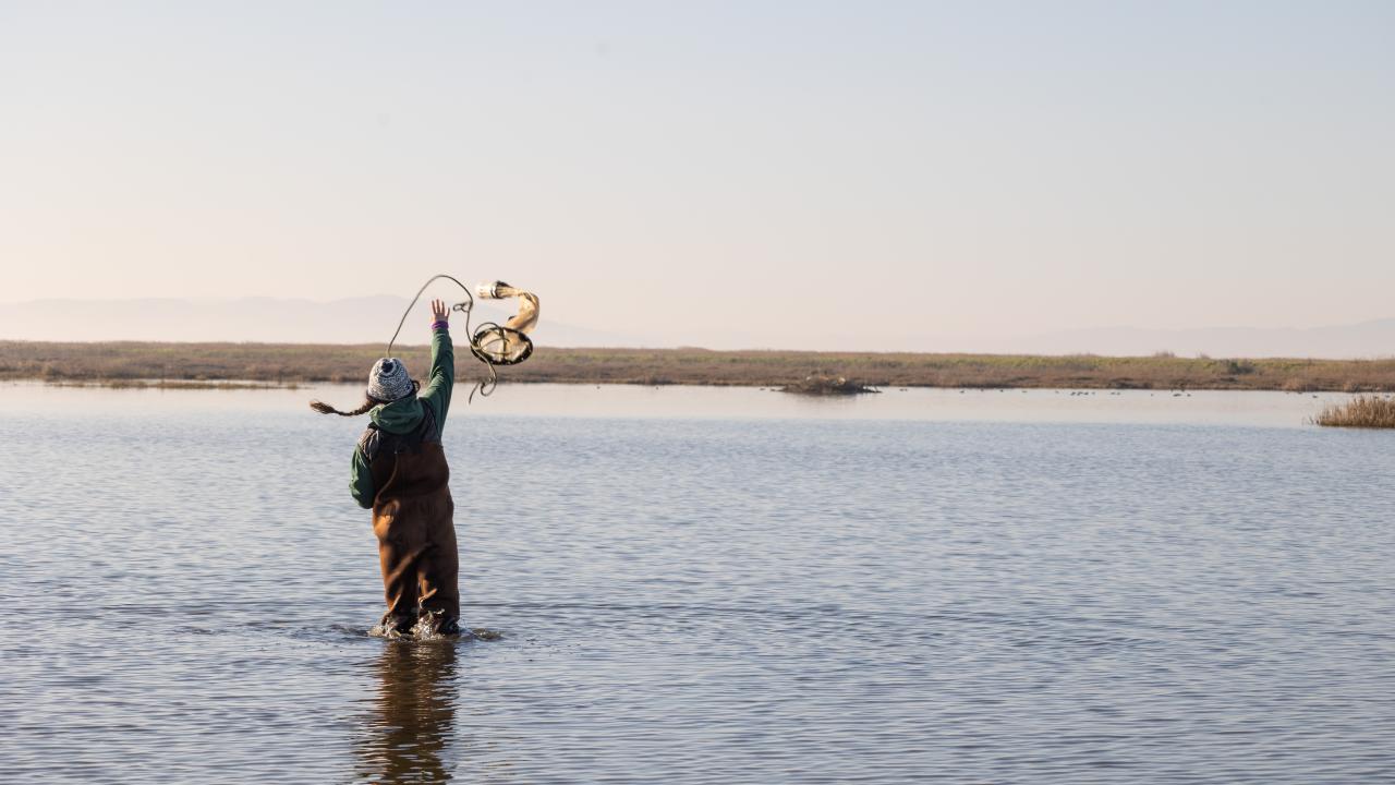 A person wading in shallow water, holding a fishing tow net against a serene natural background.