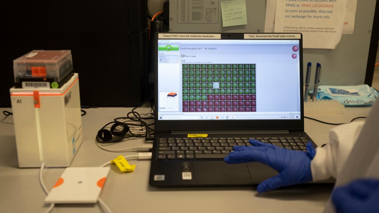 COVID-19 testing program: data on laptop monitor