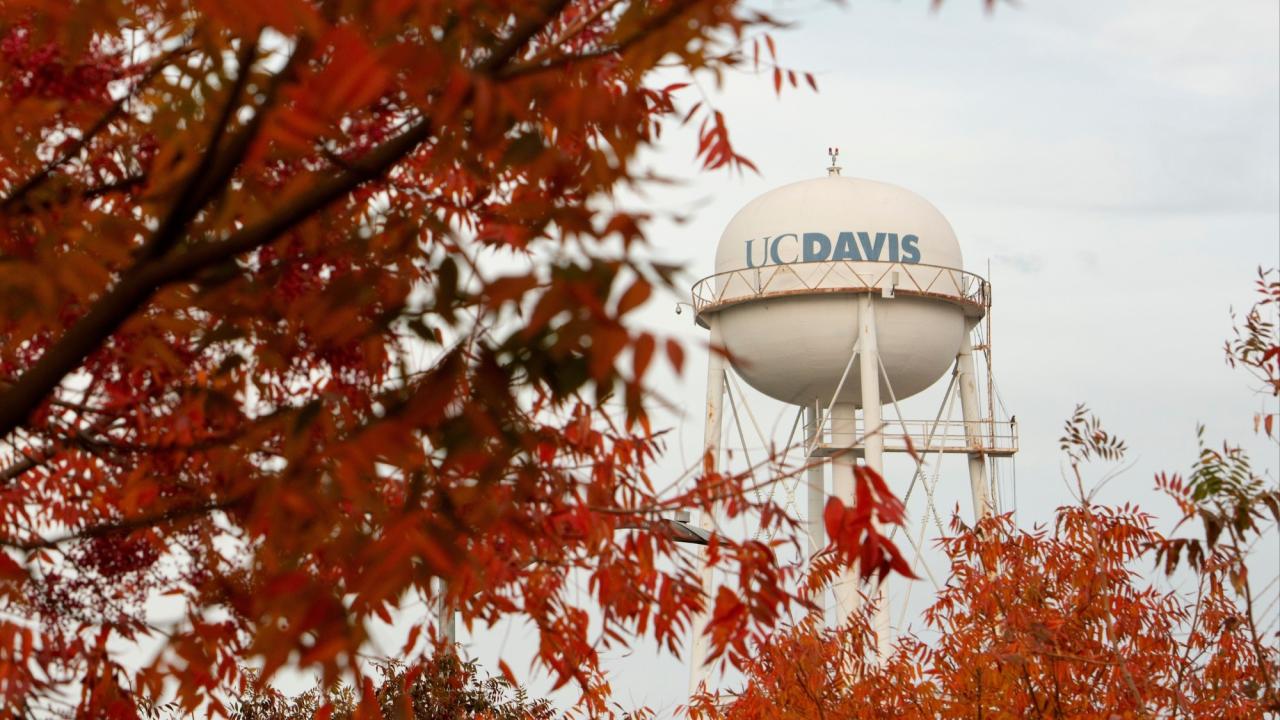 The water UC Davis tower with autumn leaves in the foreground