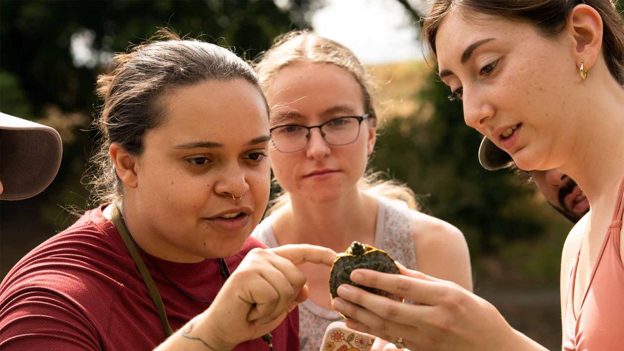 Three people look at small turtle