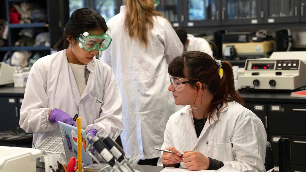 Students work in lab