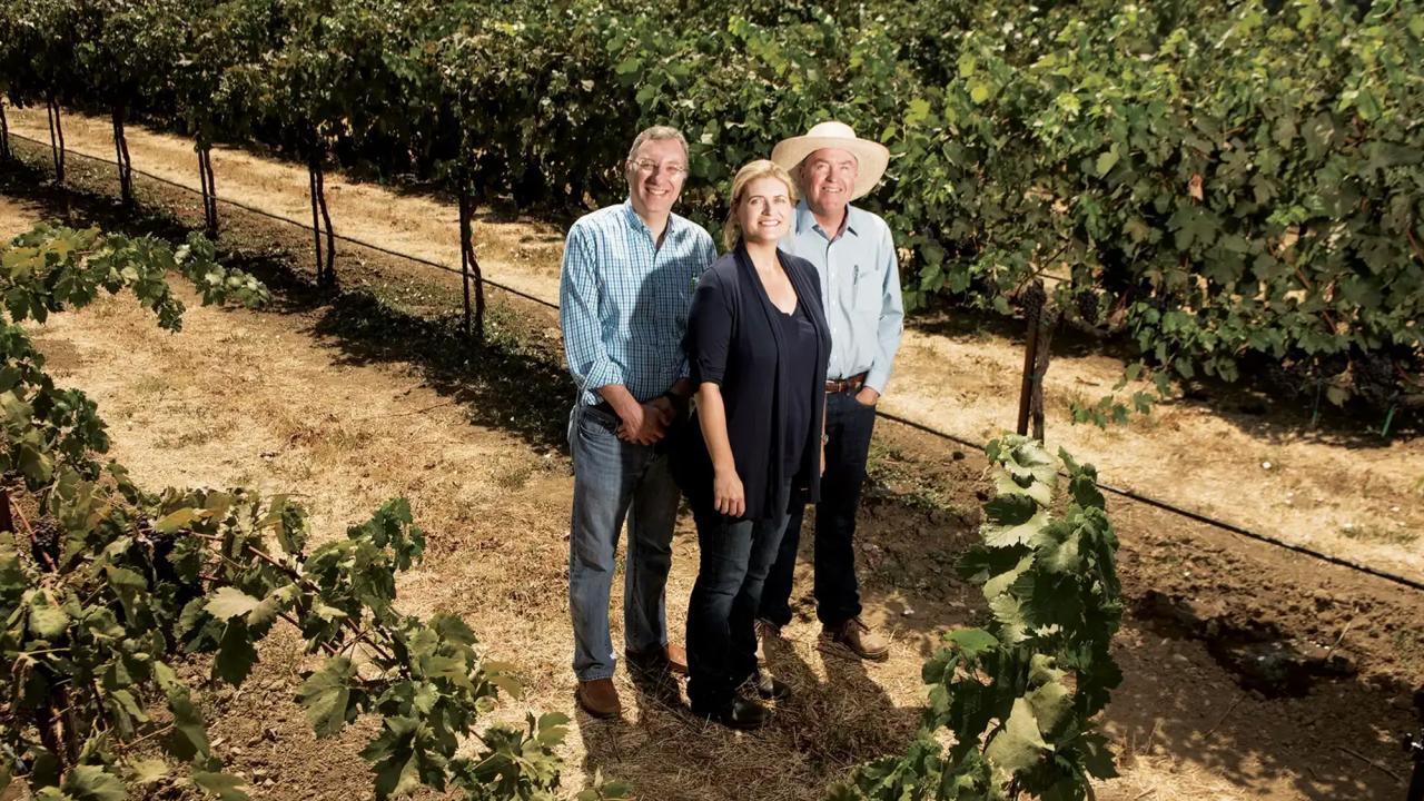 3 people stand in a vineyard