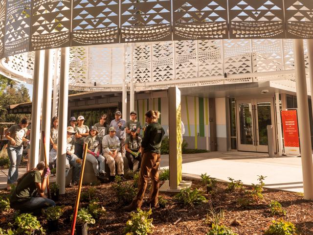 Students outside the Gorman Museum in the landscaping