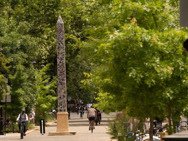 Trees and college students