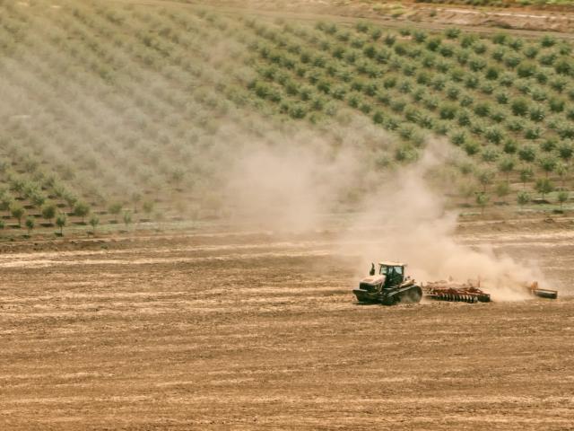Aerial view of a tractor pulling a plough across a fallowed farm field next to almond orchards in the Central Valley. Valley fever is spreading across the arid west as climate change creates the ideal conditions for the fungus to spread. (Getty)