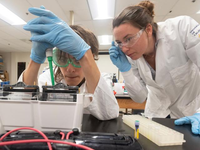 Two people in lab coats with pipette in lab environment