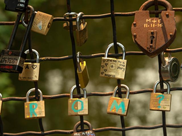 love-locks on the bridge over the Waterway in the UC Davis Arboretum