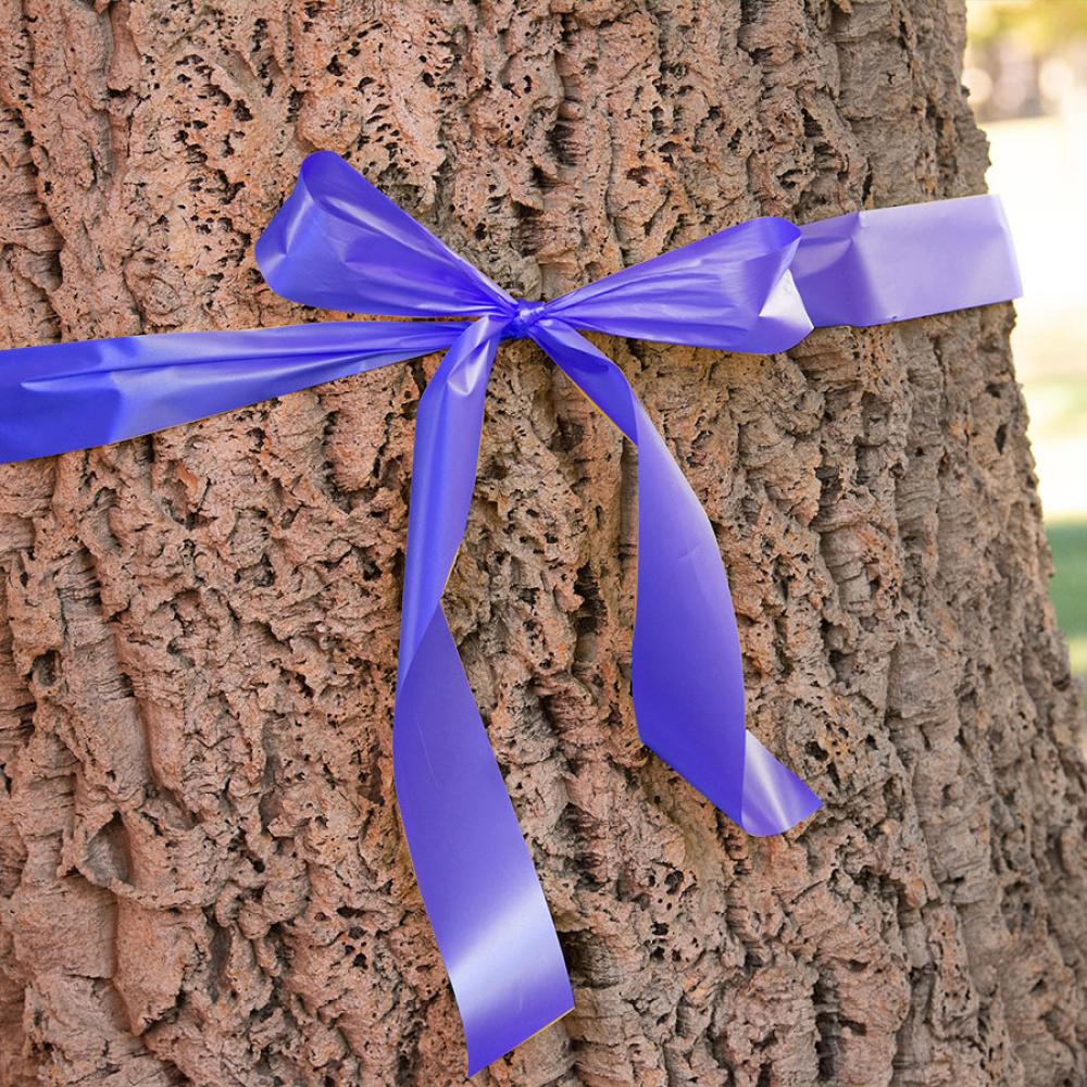 A purple ribbon wrapped around a cork oak tree