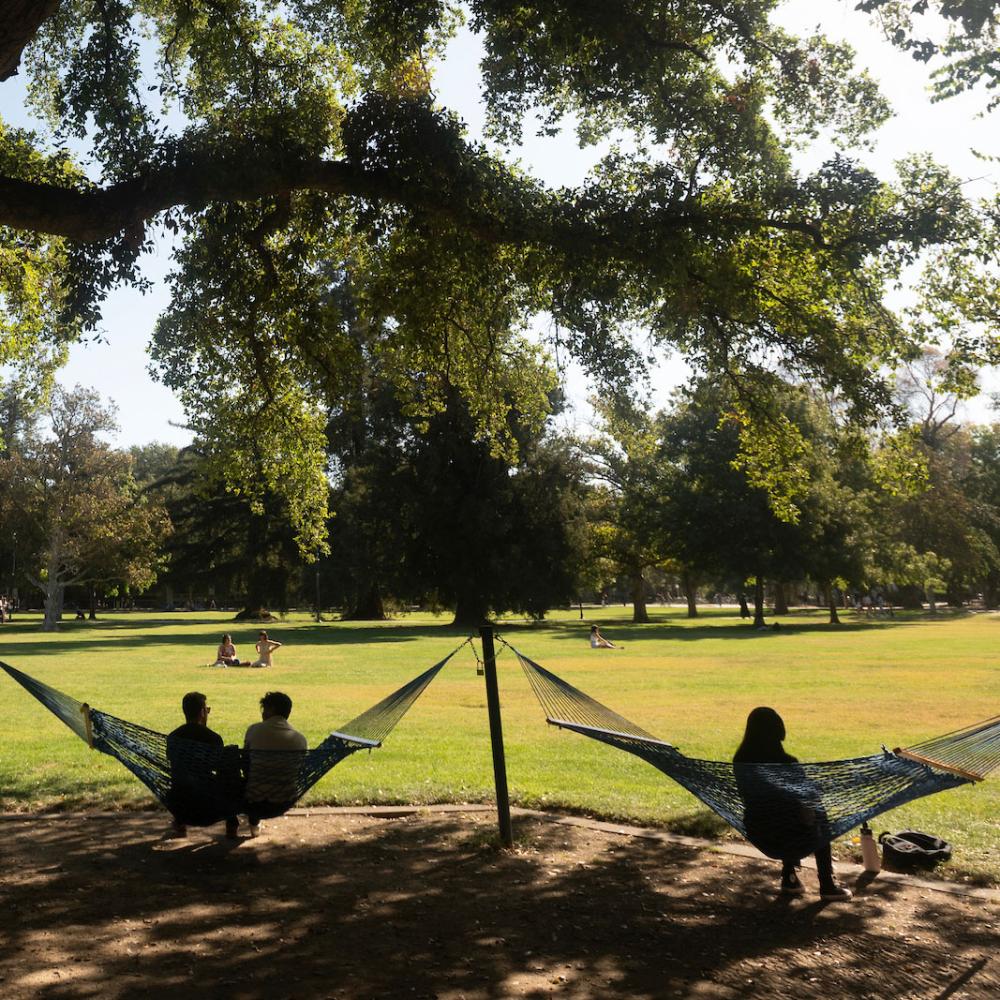 Students basking in the shade in hammocks on a warm spring day