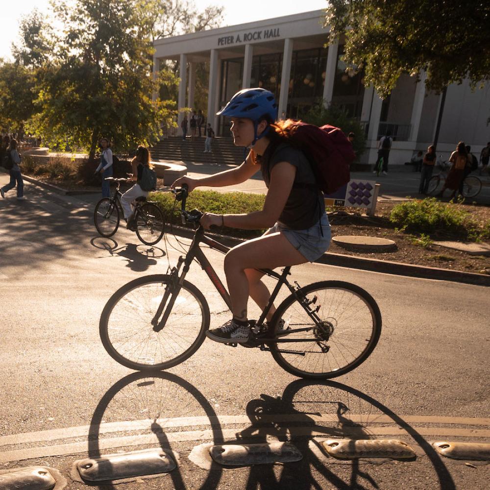 A helmeted bicycle rider rounds a circle on the UC Davis Campus