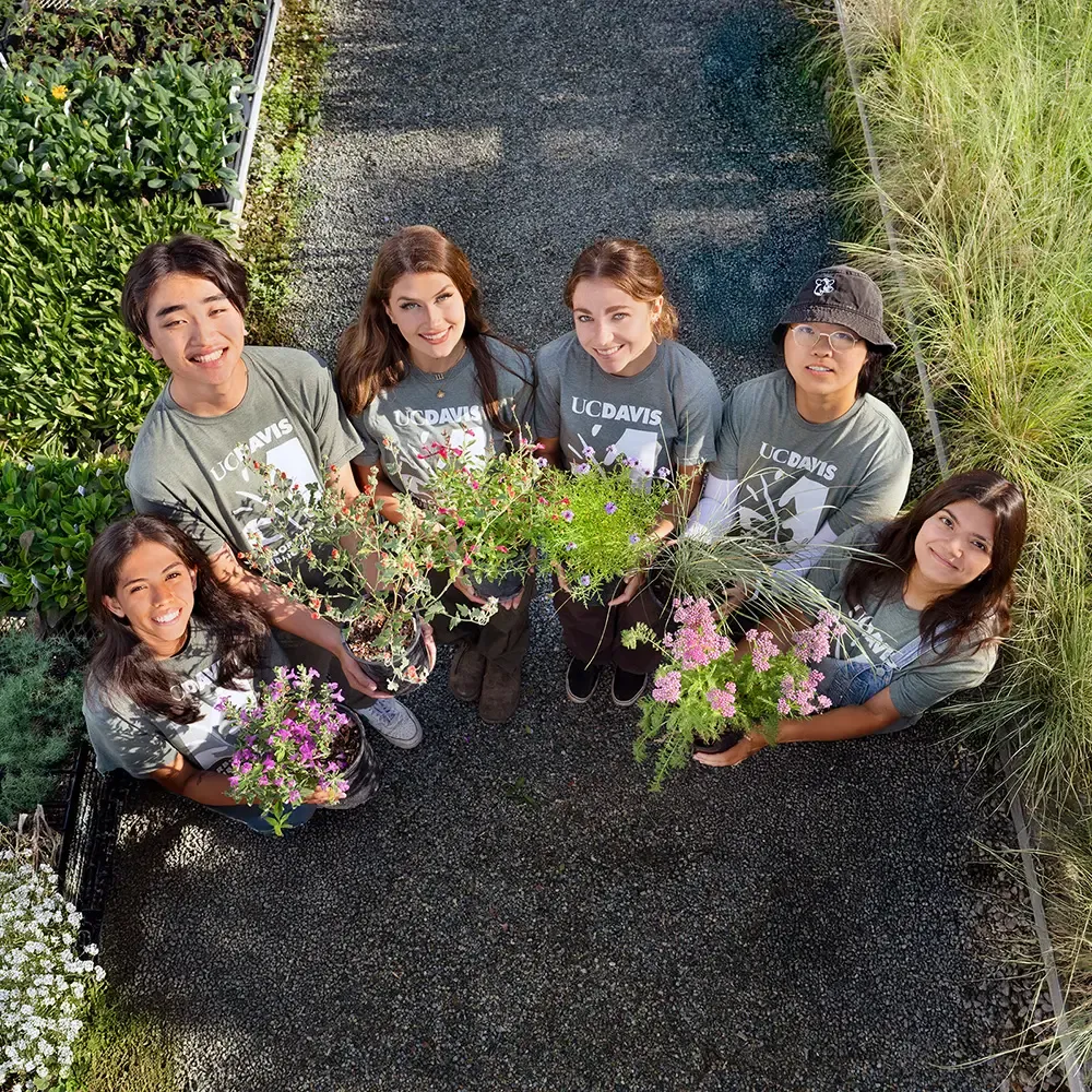 A view from above of a group of people holding plants from the UC Davis Plant Sale