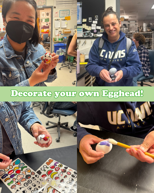 an image is divided into four equal quadrants, showcasing a volunteer participating in an egghead decoration activity at the UC Davis Craft Center. a masked individual is seen choosing, painting and decorating an egg-shaped object in a university craft studio setting. 