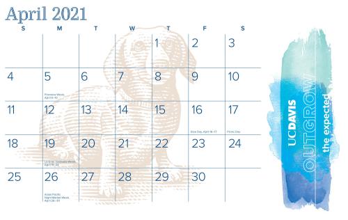 Campus calendar, monthly version (April), with dachshound