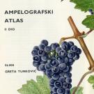 Wine label