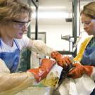 All oiled wildlife care in California is managed by the UC Davis School of Veterinary Medicines Wildlife Health Center. At right, UC Davis veterinarians Shannon Riggs, left, and technician January Bill wash an oiled bird on Nov. 1 at the rescue