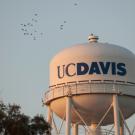 UC Davis water tower