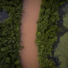 The Bad River in northern Wisconsin.