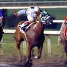 Three racehorses with their jockeys race on a muddy track