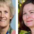 Photos (2): Alison Van Eenennaam and Shermain Hardesty