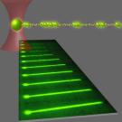 An optically trapped DNA molecule (top portion of this graphic depiction) assembles into a filament with molecules of the DNA repair protein, Rad51.