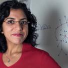 Raissa D'Souza, an assistant professor at the Department of Mechanical and Aeronautical Engineering