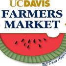 Graphic: UC Davis Farmers Market logo watermelon slice 