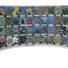 Nature's Gallery mosaic mural