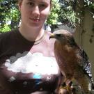 Photo: Volunteer Jillian Howard has Mikey the red-shouldered hawk 'on the glove' during the raptor center's spring open house.