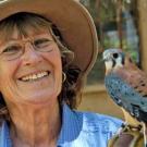 Christine Adams and Spar, an American kestrel, a small falcon.