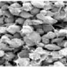 Magnified photo showing rehydrated platelets (at the cell level).