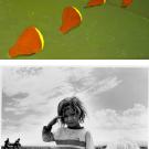 Art (2): Erin Jackson oil painting, Landscape Lights Away; and a photo from Across the Great Divide